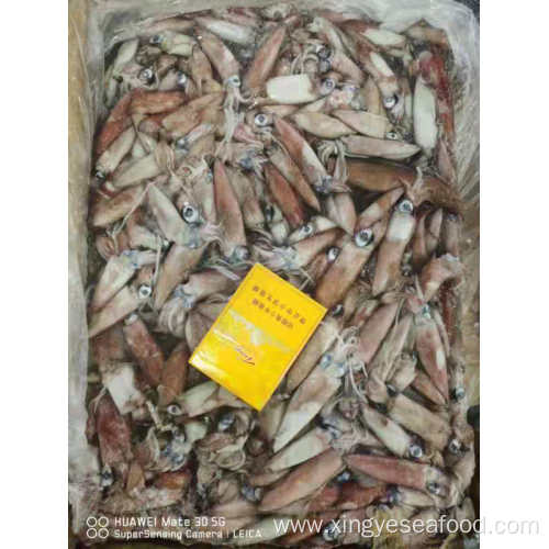 Frozen Uroteuthis Chinensis Squid Whole Round 5-8cm
